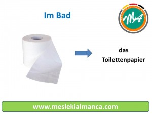 das Toilettenpapier