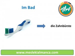 die Zahnbürste