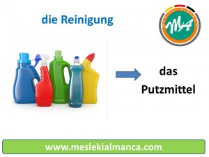 das Putzmittel