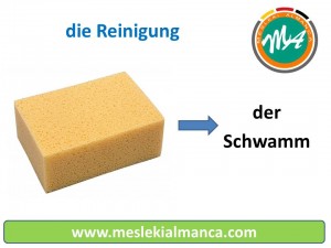 der Schwamm