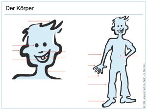 Körper