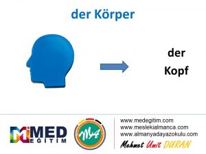 der Körper - Vücudun Bölümlerinin Almancası 10