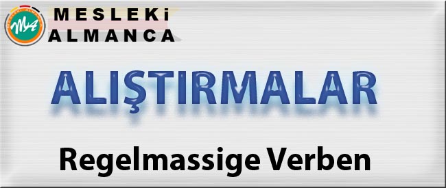 Almanca Düzenli Fiiller - Regelmassige Verben 56