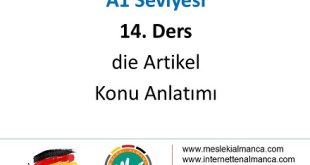 A1 Seviyesi / 14. Ders: die Artikel 58