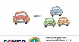Almanca Çoğullar ile İlgili Alıştırmalar - Pluralformen 4