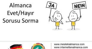 Almanca Evet Hayır Sorusu Sorma - Online Ders Videosu 63