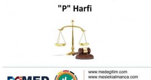 Almanca Hukuk Sözlüğü - "P" Harfi 57
