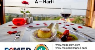 Almanca Turizm Sözlüğü - "A" Harfi 56