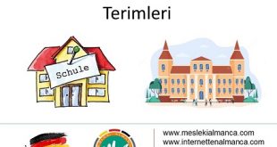 Almanca Okul ve Üniversite Terimleri 57