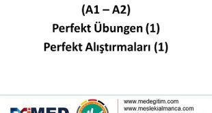 Perfekt Alıştırmaları 1 (A1-A2) / Perfekt Übungen 1 (A1-A2) 59