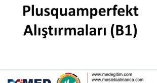 Plusquamperfekt Übungen - Alıştırması (B1) 57