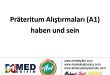 "haben" und "sein" (A1) - Prateritum Alıştırmaları 5