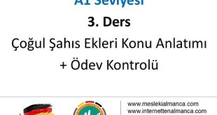 A1 Seviyesi / 3. Ders: Çoğul Şahışlar Ders Anlatımı + Ödev ve Ödev Kontrol Videosu 57