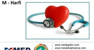 Almanca Tıp Terimleri - "M" Harfi 58