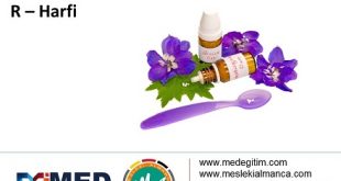 Almanca Tıp Sözlüğü - "R" Harfi 56