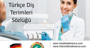 Diş Hekimleri İçin Almanca Türkçe Terimler Sözlüğü 58