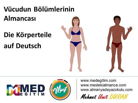 Almanca Vücudun Bölümleri - Die Körperteile auf Deutsch 1