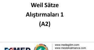 Weil Sätze Alıştırmaları (A2) - Alıştırma Kağıtları 4