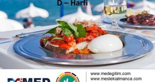 Almanca Turizm Sözlüğü - "D" Harfi 56
