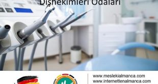 Almanya ve Avusturya'daki Diş Hekimleri Odaları 58