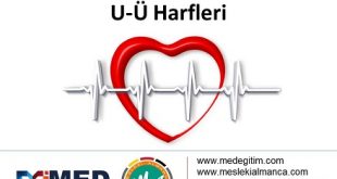 Almanca Tıp Sözlüğü - "U-Ü Harfleri" 56