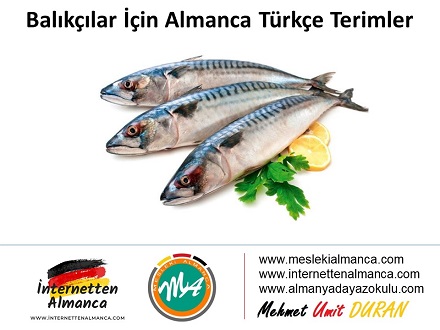 Balıkçılar için Almanca Türkçe Terimler 1
