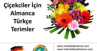 Çiçekçiler İçin Almanca Türkçe Terimler 57