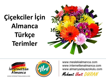 Çiçekçiler İçin Almanca Türkçe Terimler 1