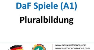 Leerkartchen - Pluralbildungen (B1) 74