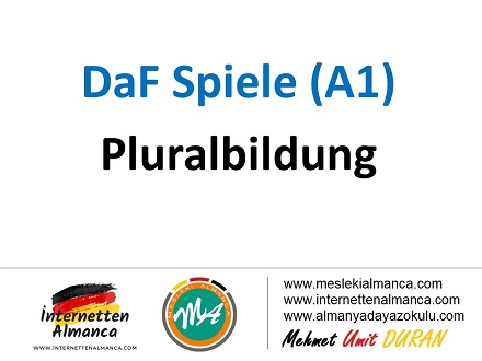 Leerkartchen - Pluralbildungen (B1) 1