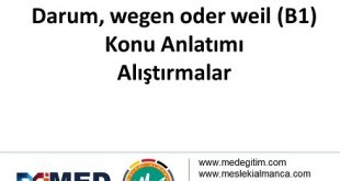 Darum, wegen oder weil 56