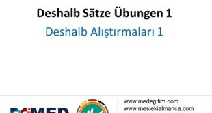 Deshalb Sätze - Alıştırma 1 (A2) 57