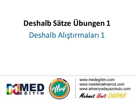 Deshalb Sätze - Alıştırma 1 (A2) 1