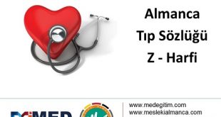 Almanca Tıp Sözlüğü - "Z" Harfi 56