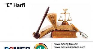 Almanca Hukuk Sözlüğü - "E" Harfi 56