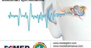 Kulak Burun Boğaz Doktorları İçin Almanca 1 - Deutsch für den Hals Nasen Ohren Arzt 1 56