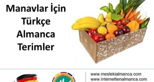 Manavlar İçin Almanca Türkçe Terimler 56