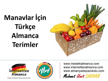 Manavlar İçin Almanca Türkçe Terimler 1