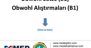 Obwohl Satze - Obwohl Alıştırmaları (B1) 56