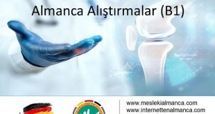 Ortopedi Uzmanları İçin Almanca Alıştırmalar (B1) 2