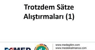 Trotzdem Sätze - Alıştırma 1 57