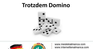 DaF Spiel - Trotzdem Domino Spiel (A2/B1) 58